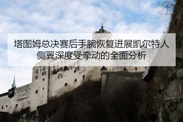 ta-tu-mu-zong-jue-sai-hou-shou-wan-hui-fu-jin-zhan-kai-er-te-ren-ce-yi-shen-du-shou-qian-dong-de-quan-mian-fen-xi-1-652.jpg